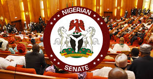 Senate confirms Ojukwu’s re-appointment as NHRC Executive Secretary