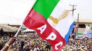APC clears Yobe LG poll