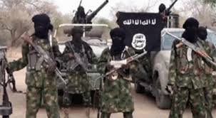 Total clearance of Boko Haram remnants our priority, says Borno CJTF Chairman