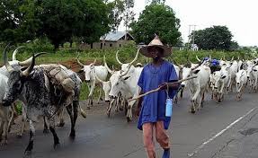 Influx of herdsmen in Kwara: Association cautions members against negative acts