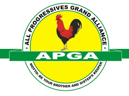 2023, time for Nigeria’s first female president -APGA aspirant