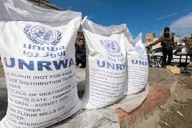 Japan to resume funding of Palestinian aid organisation UNRWA